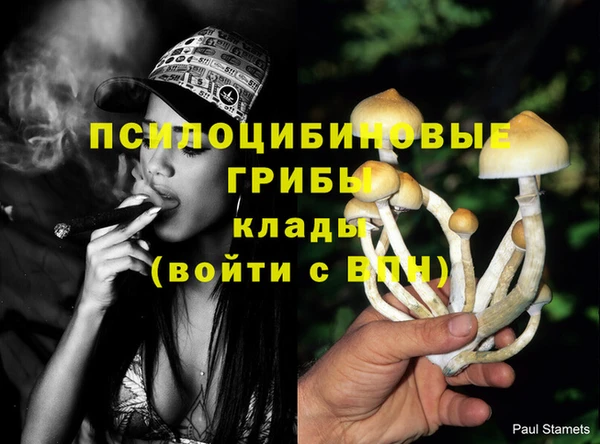 прущие крисы Богородицк